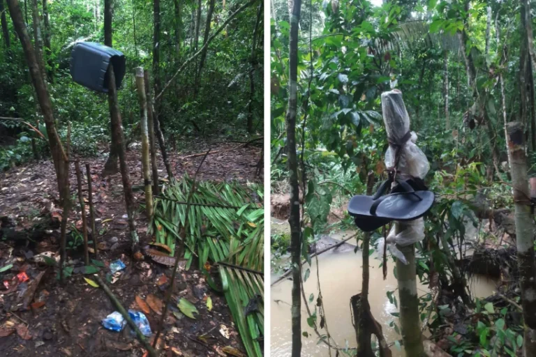 invasores Vale do Javari