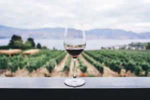 mudança do clima vinho
