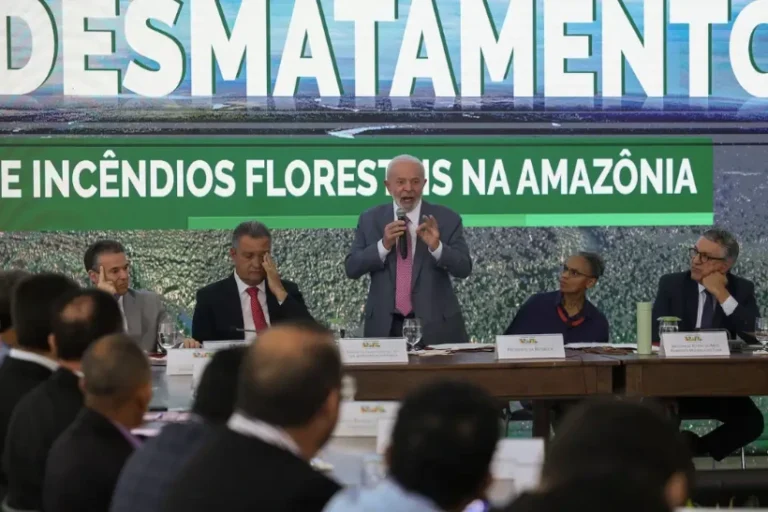 programa desmatamento incêndios florestais
