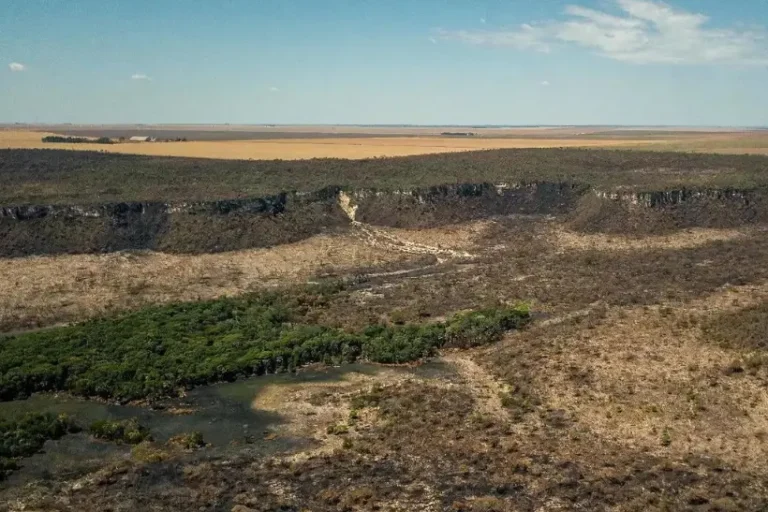 regras Amazônia programa antidesmatamento