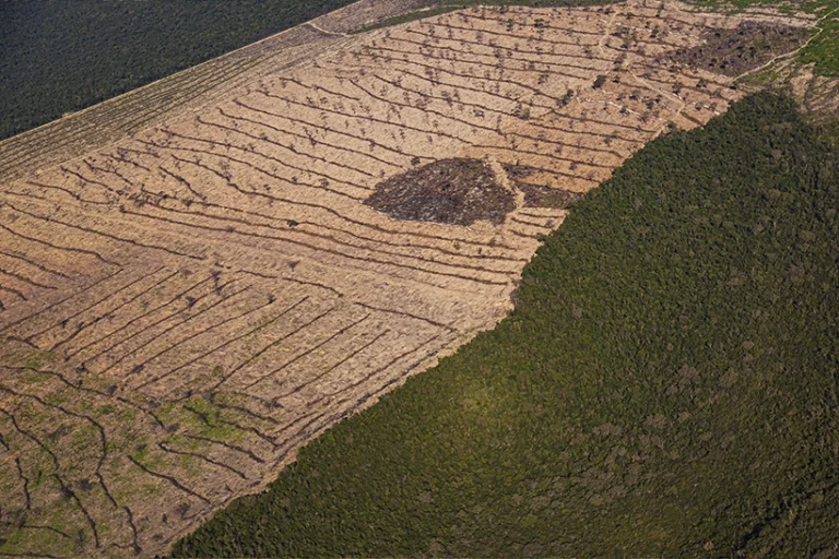 Desmatamento cMata Atlântica Cerrado Caatinga