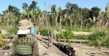 Fazendeiro agrotóxicos Pantanal financiamento BB