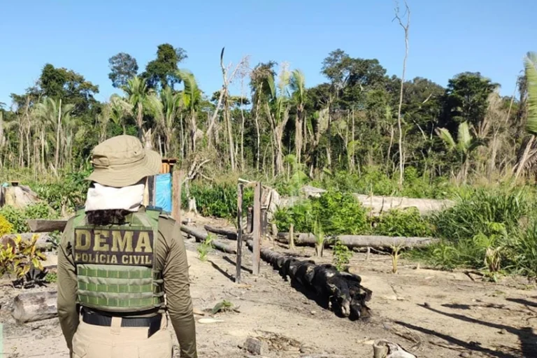 Fazendeiro agrotóxicos Pantanal financiamento BB