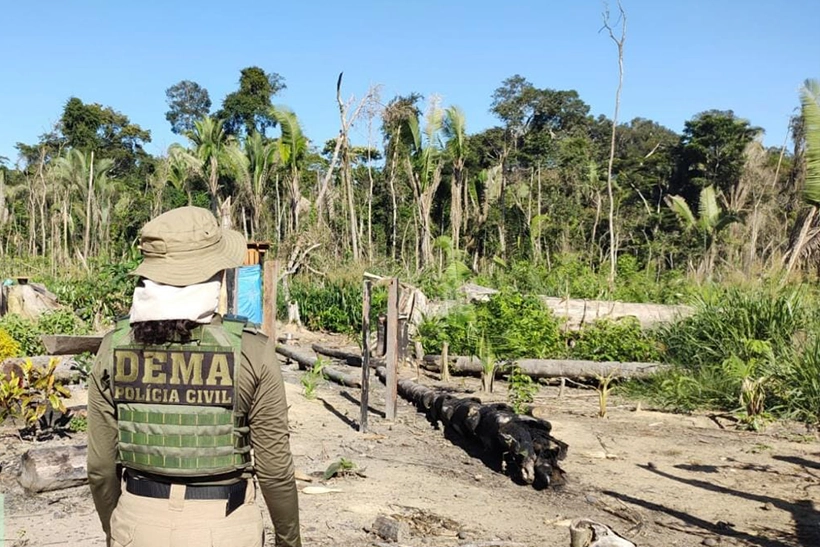 Fazendeiro agrotóxicos Pantanal financiamento BB