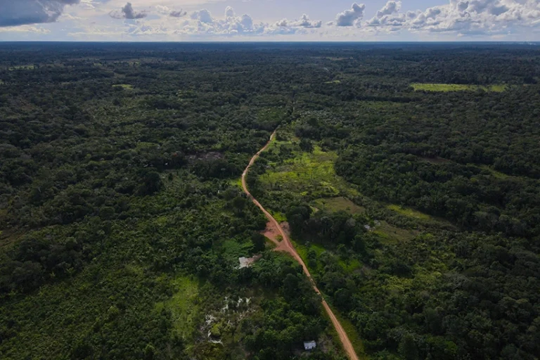 MPF salinização rios suspensão licença potássio AM