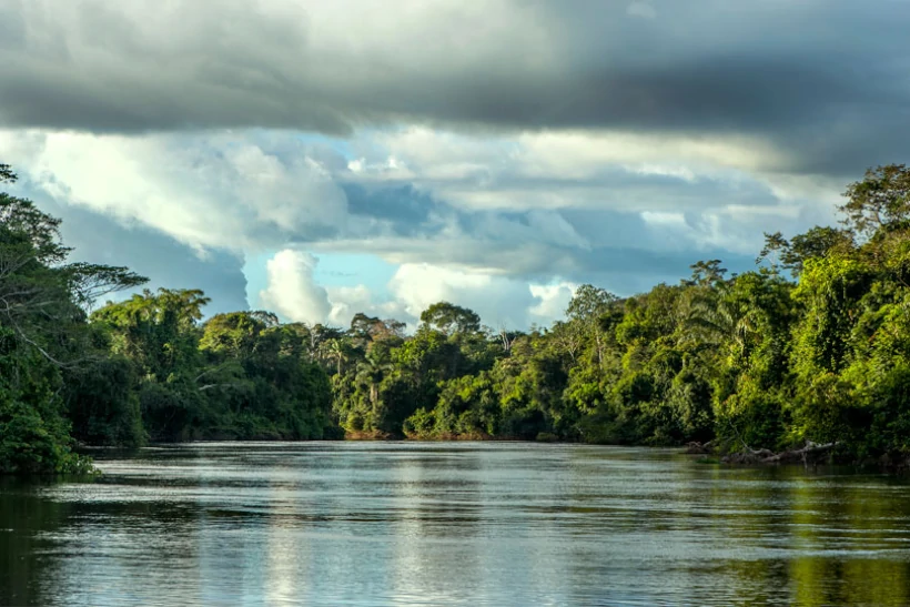 Mato Grosso UCs desmatamento