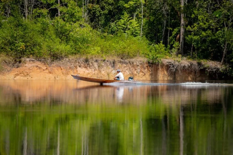 Recuperação seca Floresta Amazônica resiliência bioma
