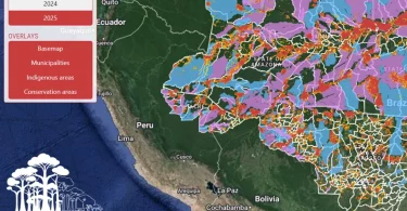 plataforma futuro desmatamento Amazônia