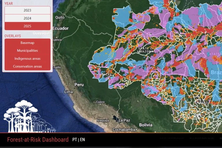 plataforma futuro desmatamento Amazônia
