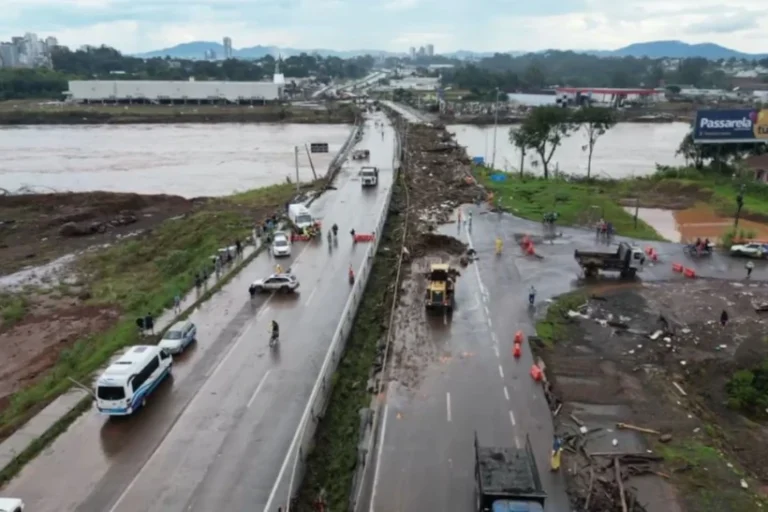 tragédia RS vegetação nativa