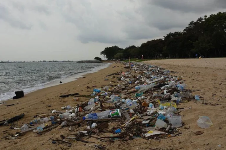 tratado poluição plásticos