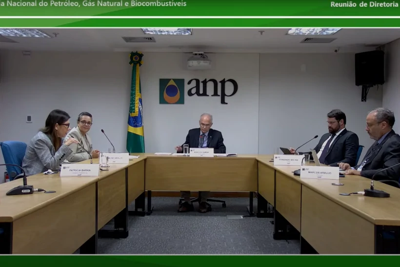 ANP leilões