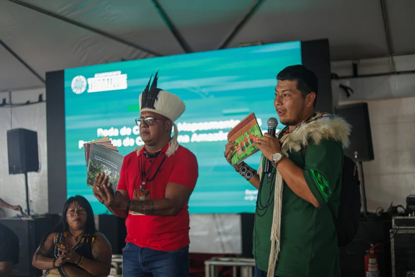 BR-319 asfaltamento consulta Povos Indígenas