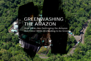 Bancos projetos combustíveis fósseis Amazônia
