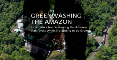 Bancos projetos combustíveis fósseis Amazônia