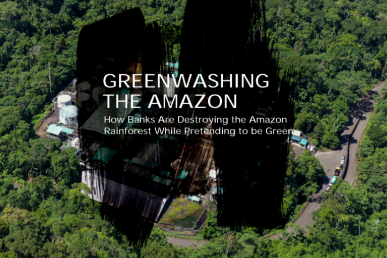 Bancos projetos combustíveis fósseis Amazônia
