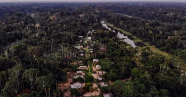 Governo Amazonas comunidades locais projetos créditos carbono