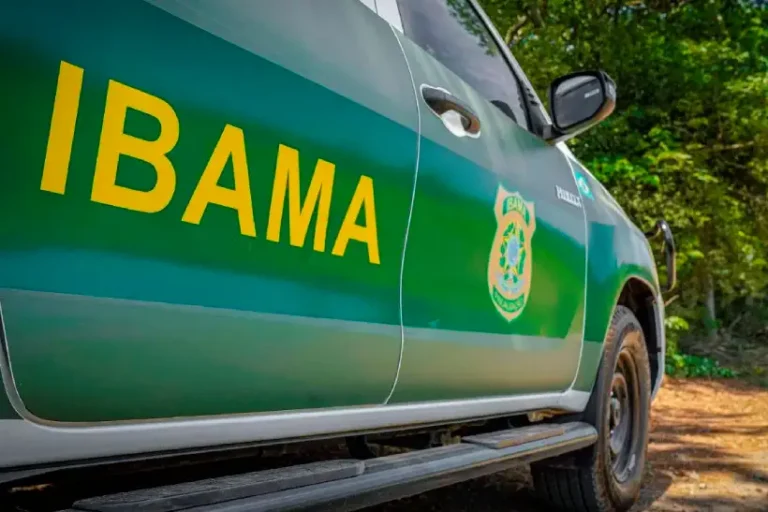 IBAMA licenças combustíveis fósseis2024