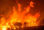 Pantanal fogo recorde focos calor bioma devastado