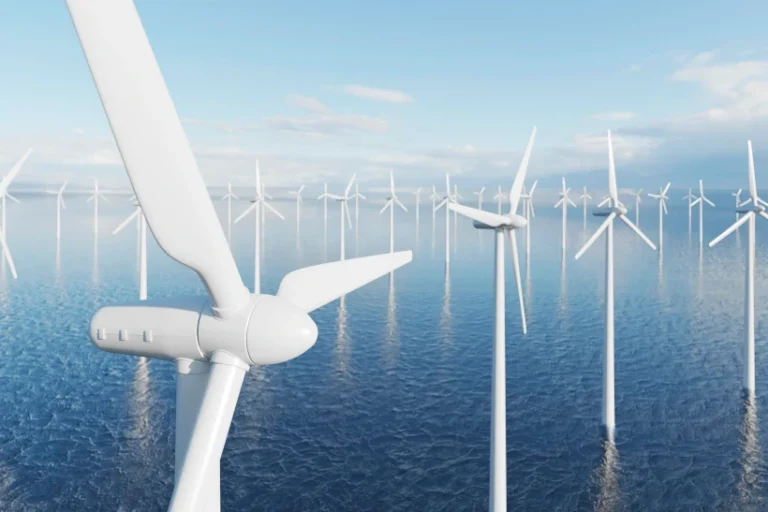 eólicas offshore jabuti