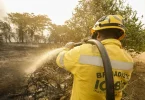 incêndios Pantanal queimadas bioma
