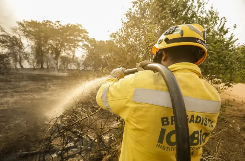 incêndios Pantanal queimadas bioma