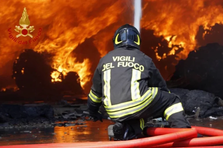 incêndios florestais estudo