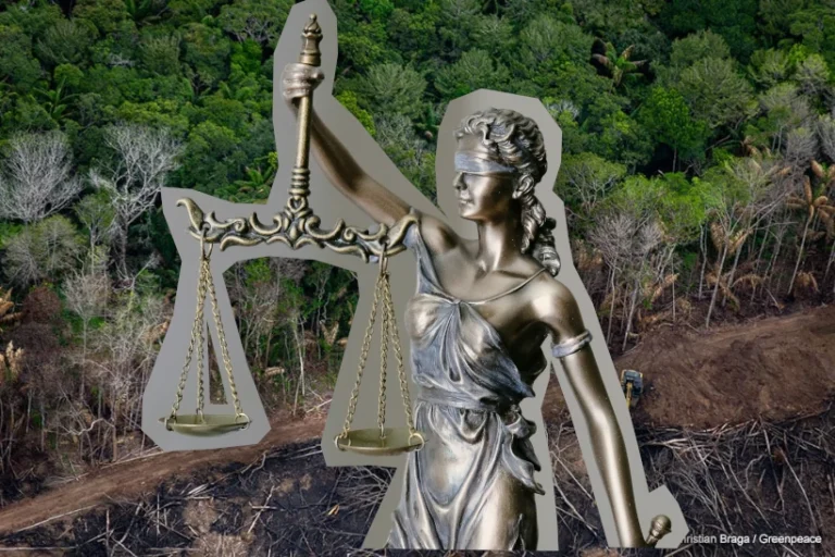 litigância climática Brasil