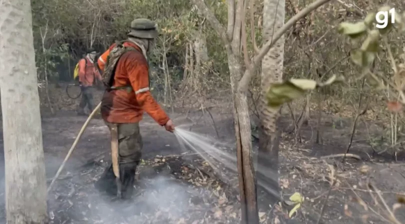 queimadas Pantanal 2024 2