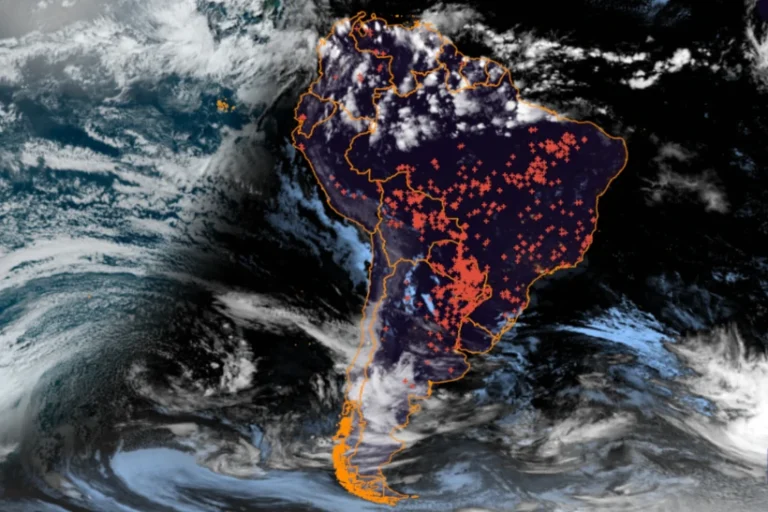 queimadas Pantanal 2024