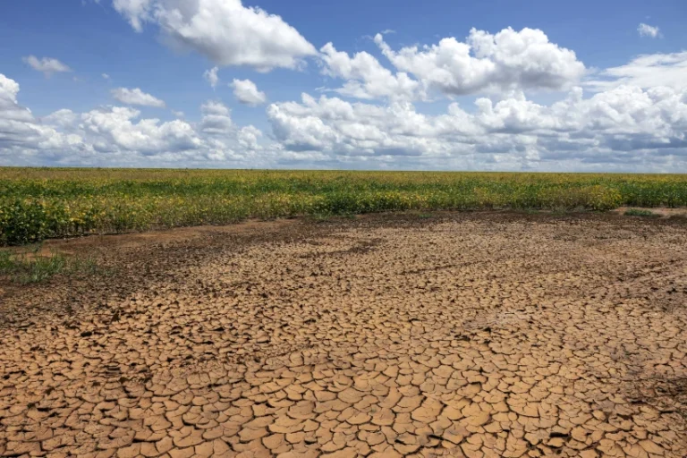 seca no Cerrado