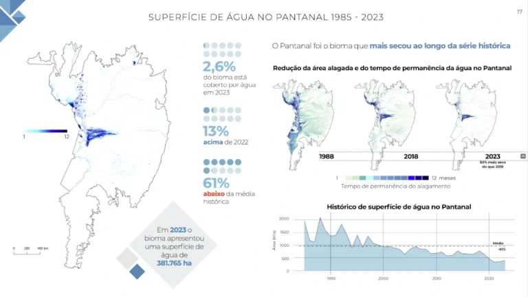 superfície de água no Pantanal