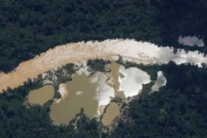 Alertas garimpo Terra Yanomami 2024