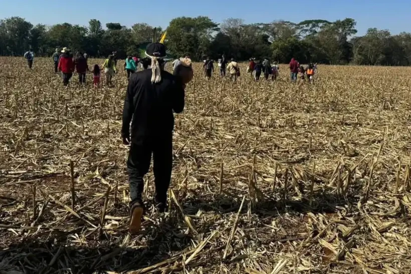 CIMI morte indígenas 2023