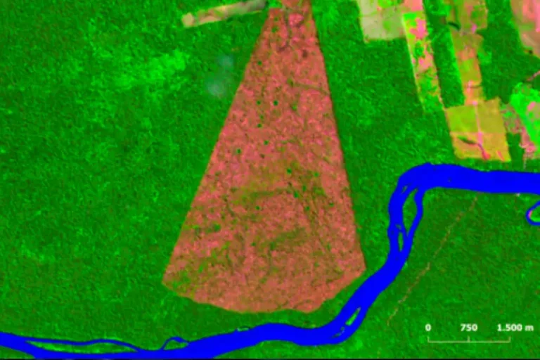 Cai desmatamento Áreas Protegidas Amazônia