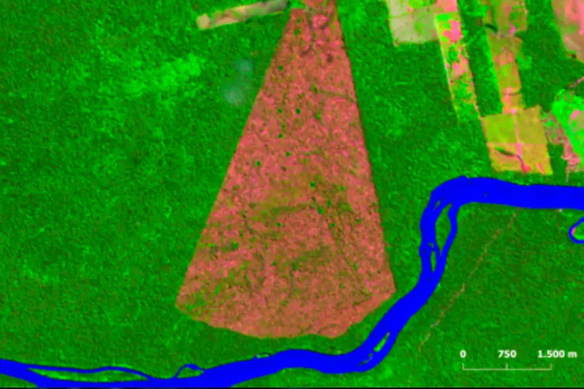 Cai desmatamento Áreas Protegidas Amazônia