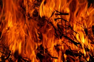 Califórnia incêndios florestais