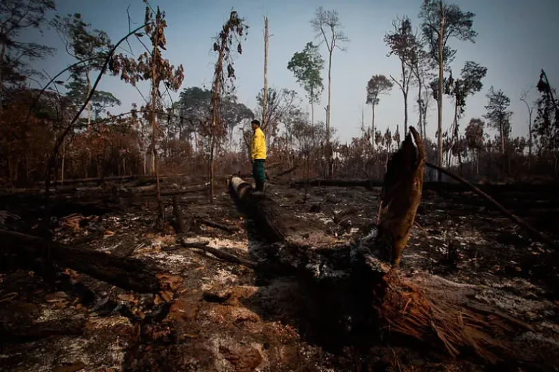 Incêndios Amazônia recorde 20 anos