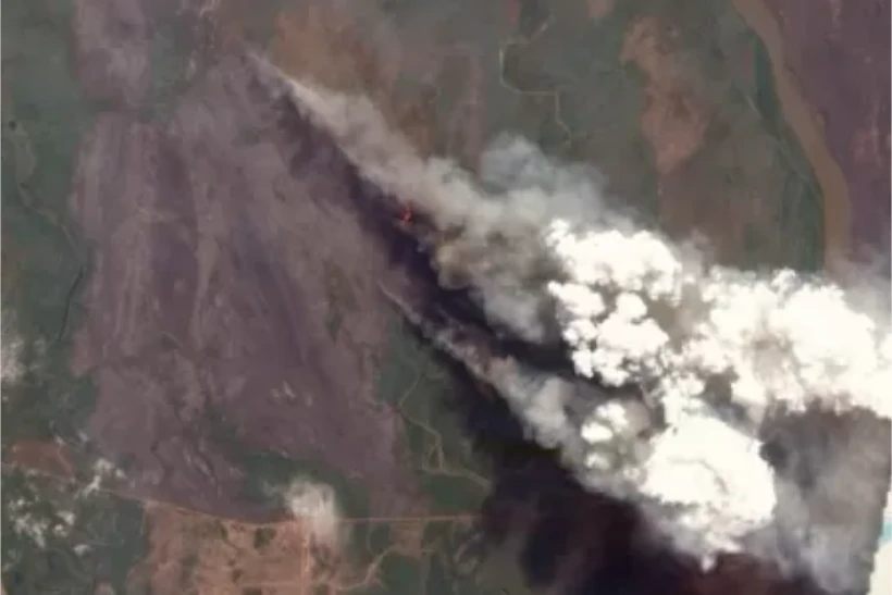 Pantanal em Chamas guardiões da floresta