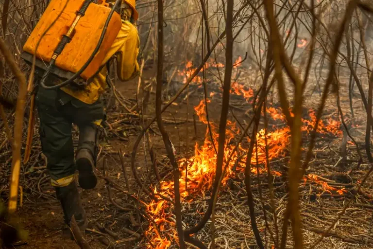Pantanal fogo Terra Indígena Kadiwéu ameaça parque estadual