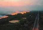 Pantanal incêndios provocados intencionalmente