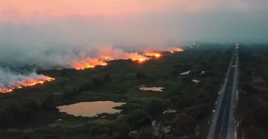 Pantanal incêndios provocados intencionalmente