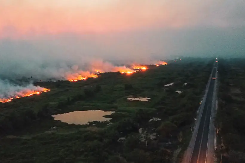 Pantanal incêndios provocados intencionalmente