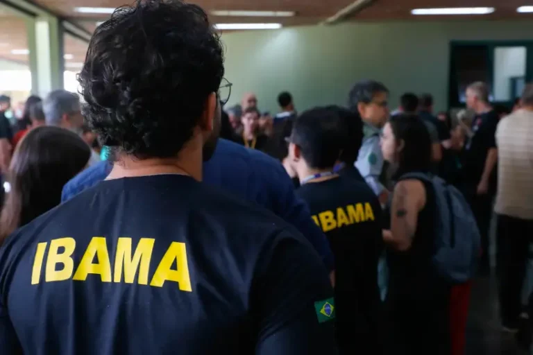 Servidores ambientais impasse governo