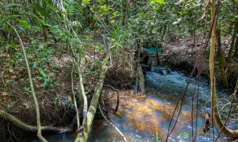 agronegócio crise climática