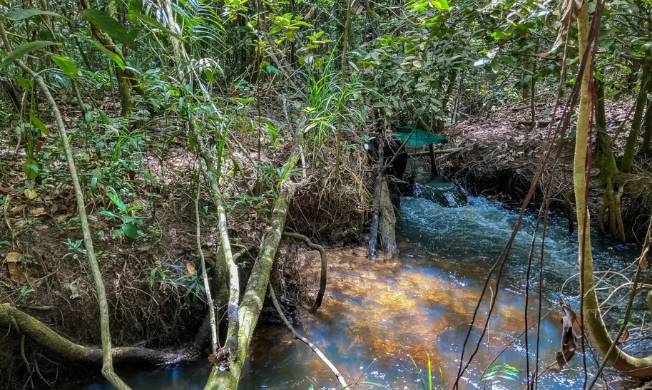 agronegócio crise climática