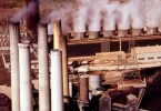 exclusão offset carbono metas climáticas corporativas