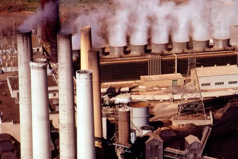 exclusão offset carbono metas climáticas corporativas