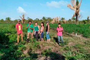 governo Plano Safra 2024 2025 475,5 bi