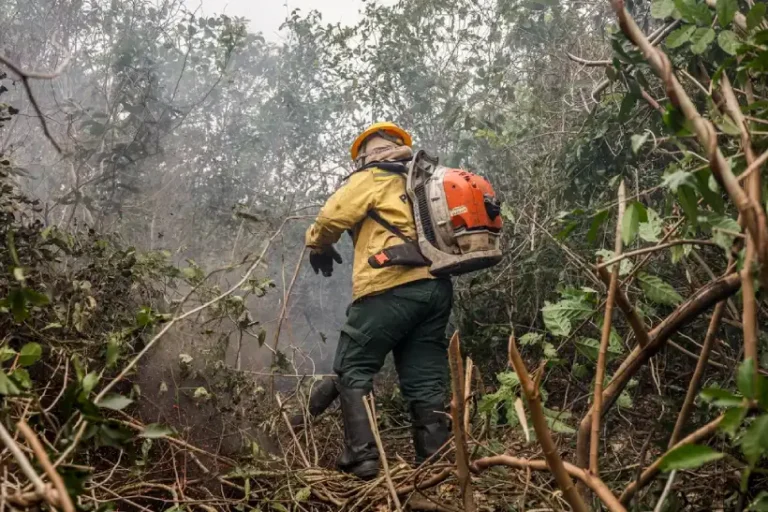 STF 15 dias governo reforçar combate a incêndios